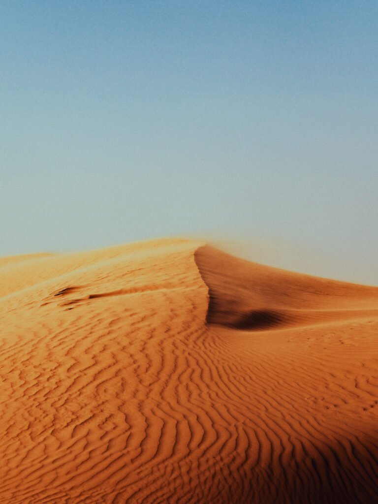 Dune